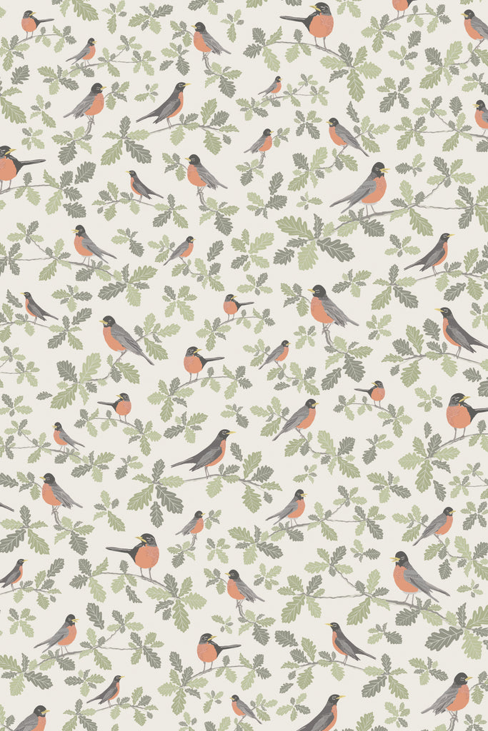 Entire view of the charming Robin Parchment wallpaper, with robins playfully perched on oak branches, evoking a spring morning.