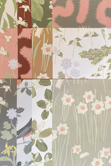 kate golding bundle set collection