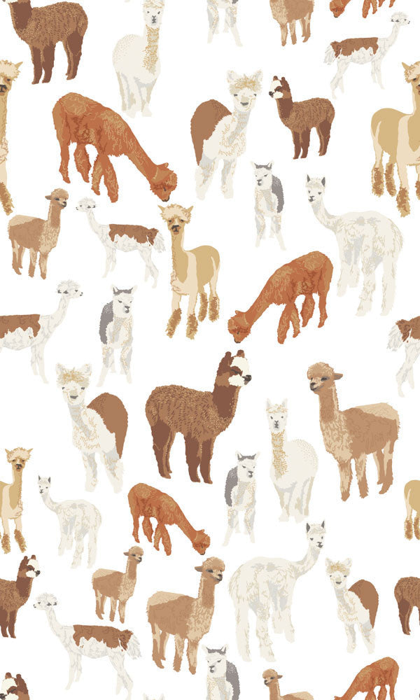 Alpaca Wallpaper - WYNIL by NumerArt Wallpaper and Art