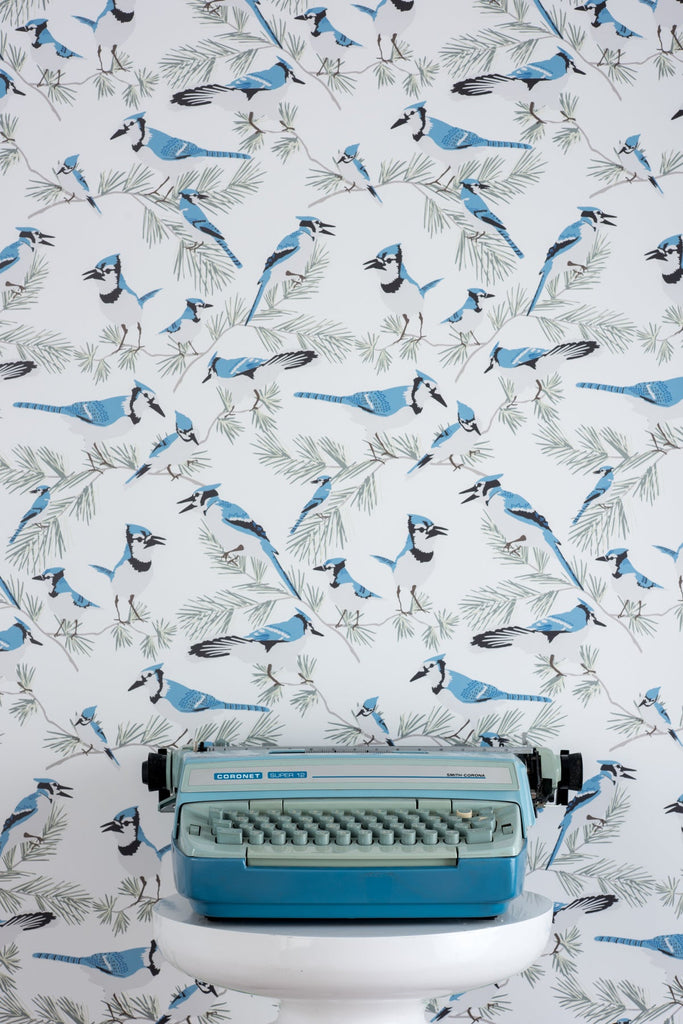 Blue Jay Wallpaper - WYNIL by NumerArt Wallpaper and Art