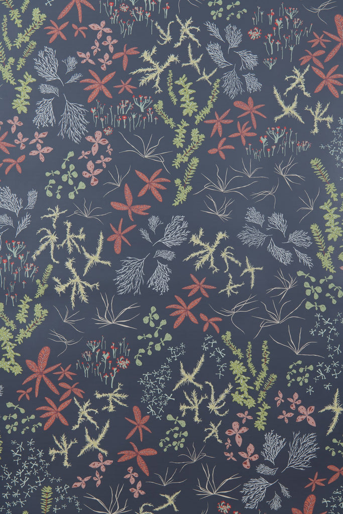 Bog Charcoal Wallpaper - WYNIL by NumerArt Wallpaper and Art