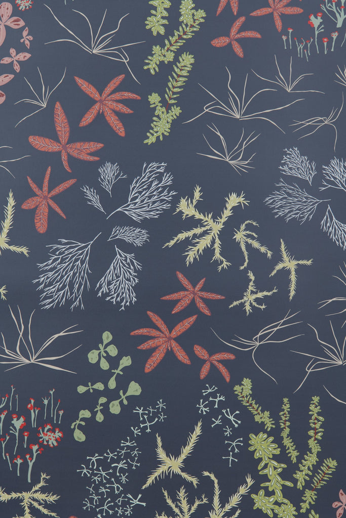 Bog Charcoal Wallpaper - WYNIL by NumerArt Wallpaper and Art