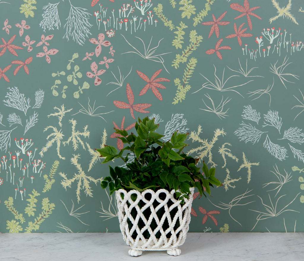 Bog Rosemary Wallpaper - WYNIL by NumerArt Wallpaper and Art