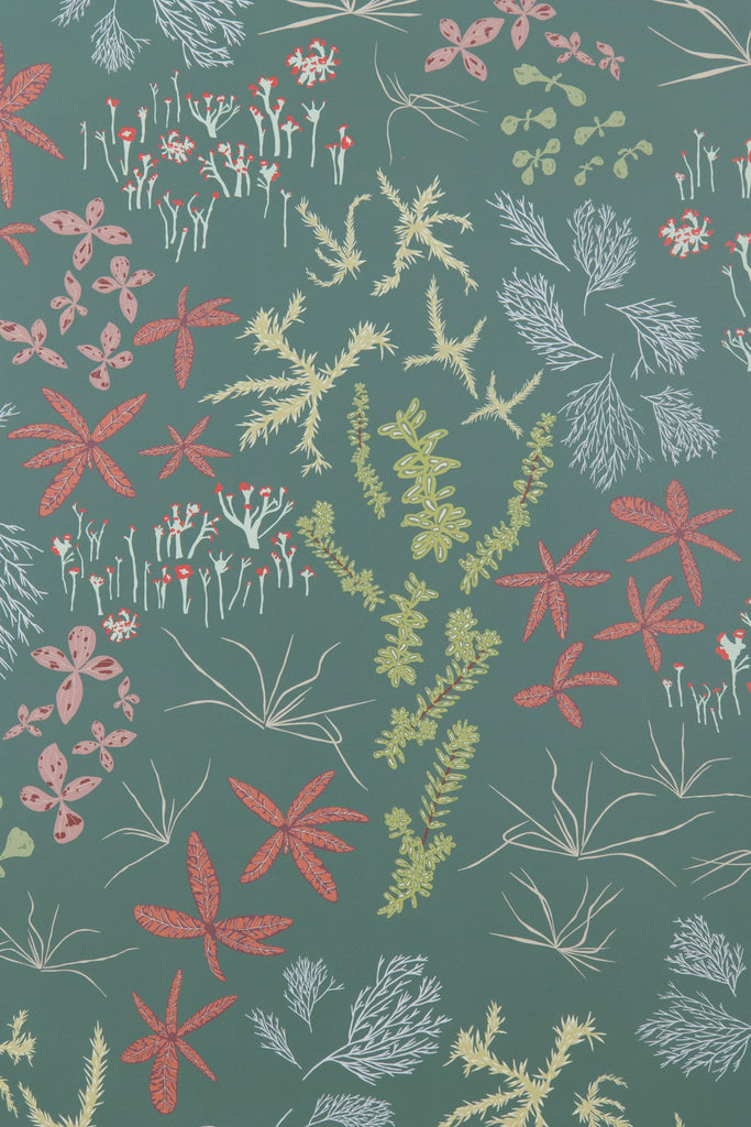 Bog Rosemary Wallpaper - WYNIL by NumerArt Wallpaper and Art