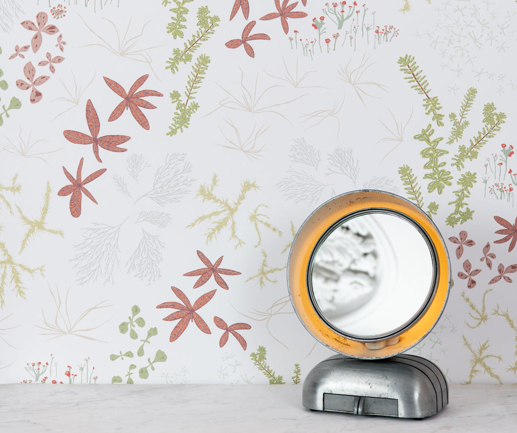 Bog White Wallpaper - WYNIL by NumerArt Wallpaper and Art