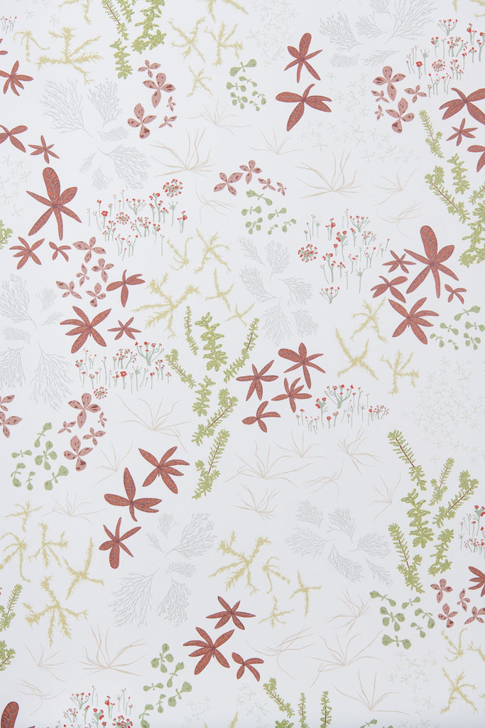 Bog White Wallpaper - WYNIL by NumerArt Wallpaper and Art