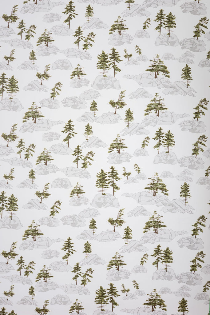 Canadian Shield Wallpaper - WYNIL by NumerArt Wallpaper and Art