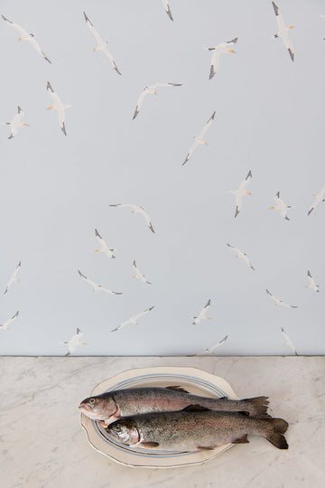 Gannets Wallpaper - WYNIL by NumerArt Wallpaper and Art