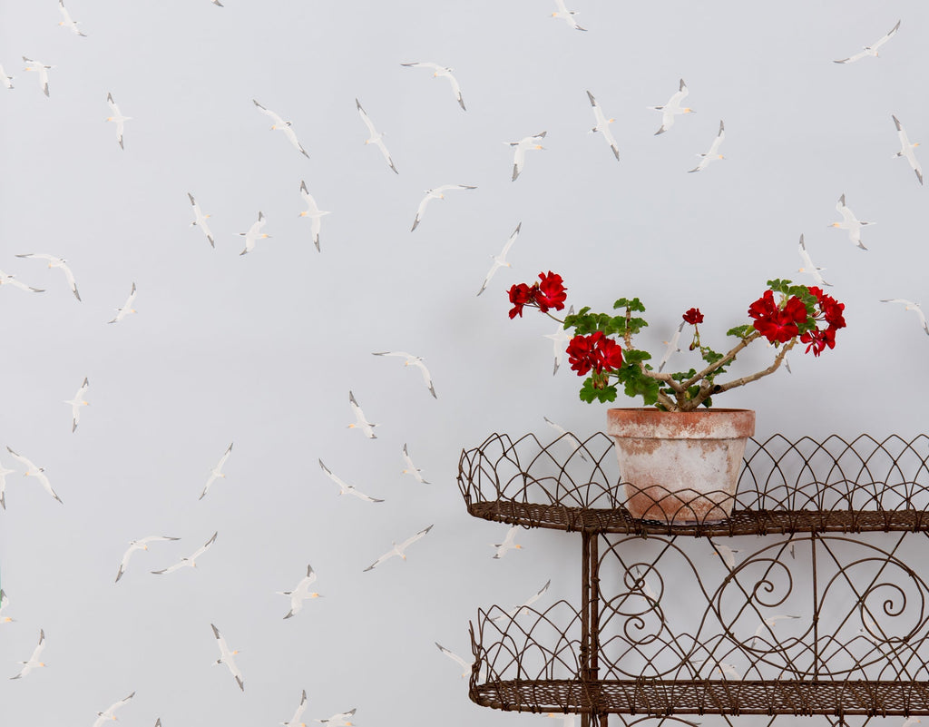 Gannets Wallpaper - WYNIL by NumerArt Wallpaper and Art