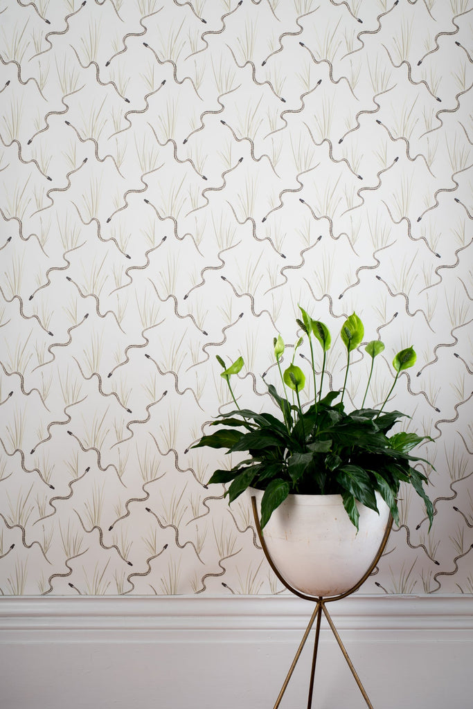 Garter Snake Wallpaper - WYNIL by NumerArt Wallpaper and Art