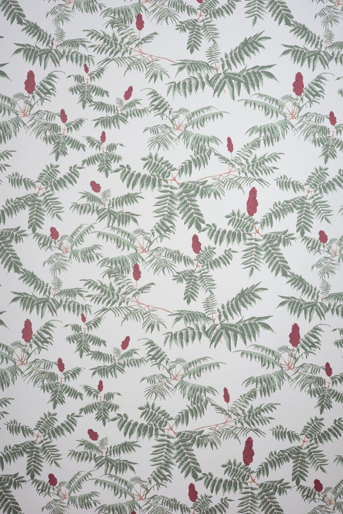 Sumac Wallpaper - WYNIL by NumerArt Wallpaper and Art