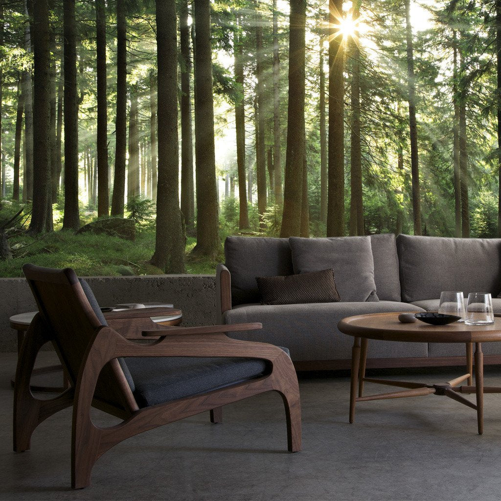 Sunny Enchanted Forest Mural - WYNIL by NumerArt Wallpaper and Art