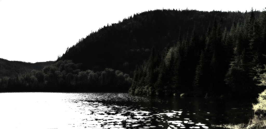 Lac Pas de Poisson HD Mural - WYNIL by NumerArt Wallpaper and Art