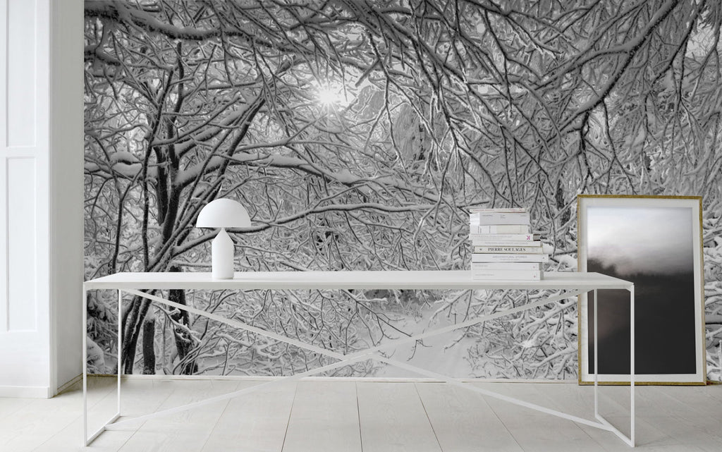 Sunlight Through Snow Forest Mural - WYNIL by NumerArt Wallpaper and Art