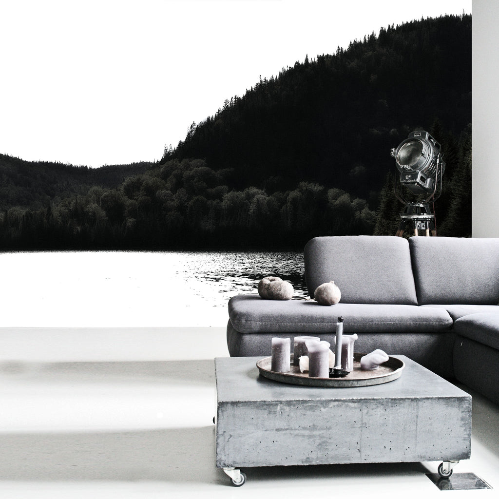 Lac Pas de Poisson HD Mural - WYNIL by NumerArt Wallpaper and Art