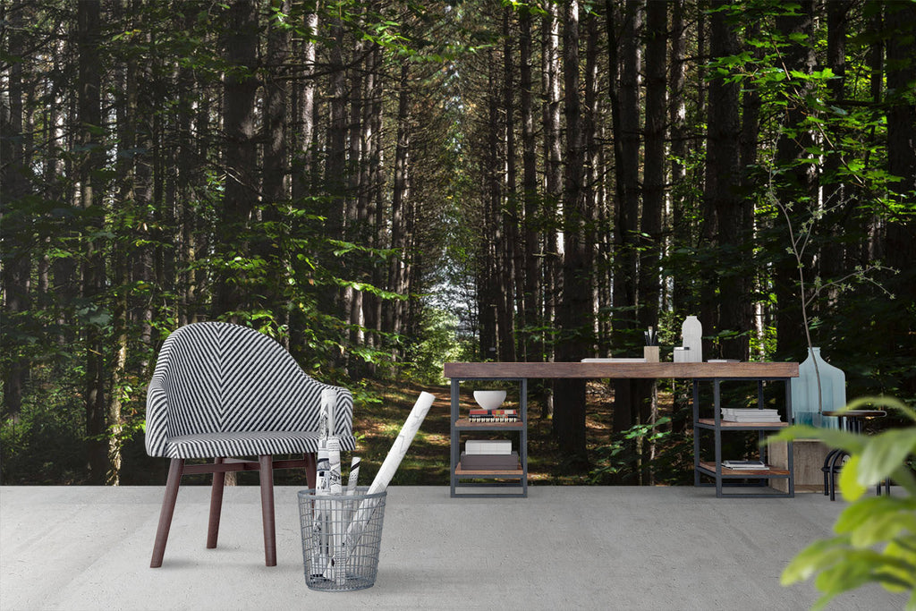 Tamed Wilderness Forest - WYNIL by NumerArt Wallpaper and Art