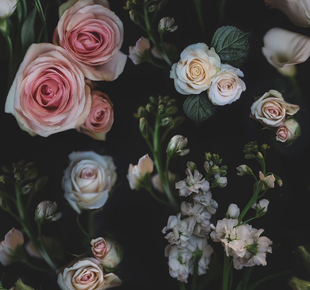 Blossoms in Your Home Mural - WYNIL by NumerArt Wallpaper and Art